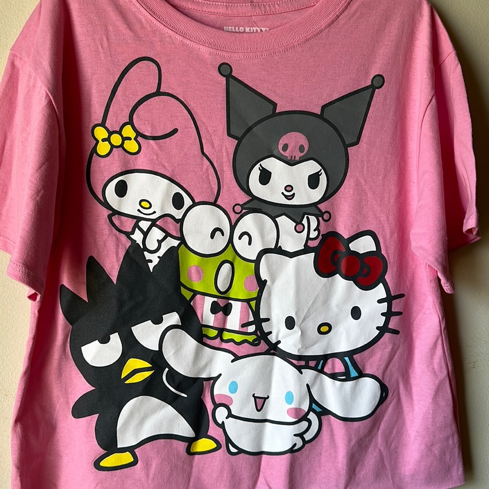 Hello kitty and friends crop top new.